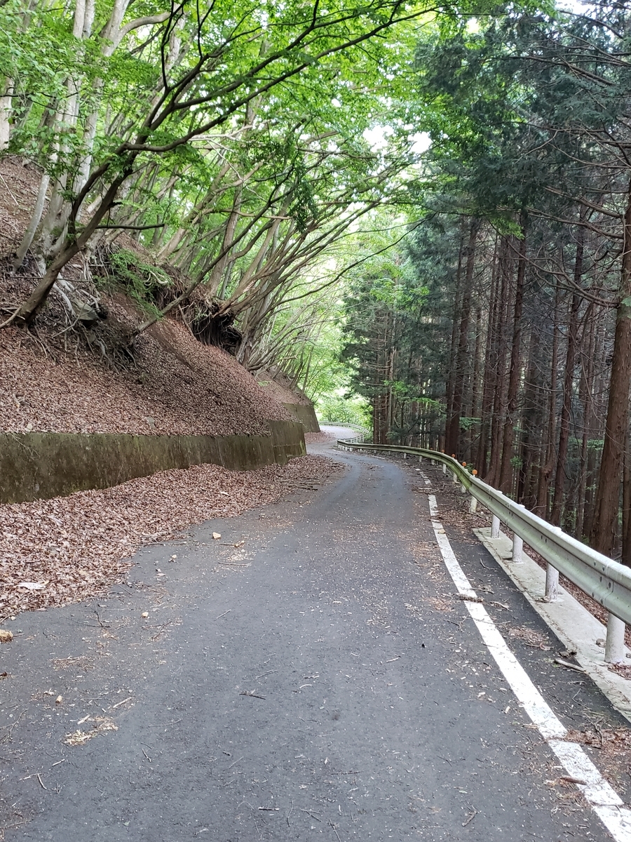 雛鶴峠の林道