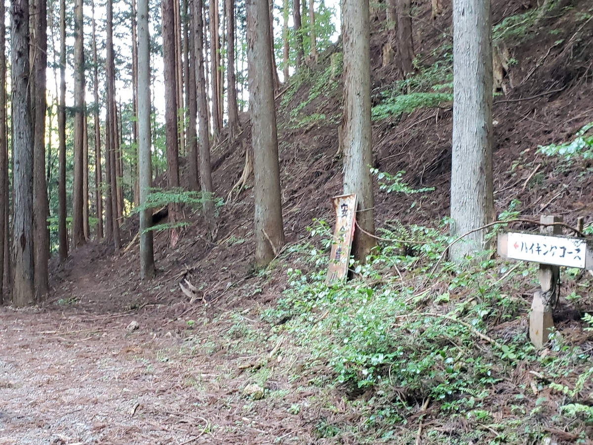 雛鶴峠の林道のハイキングコース