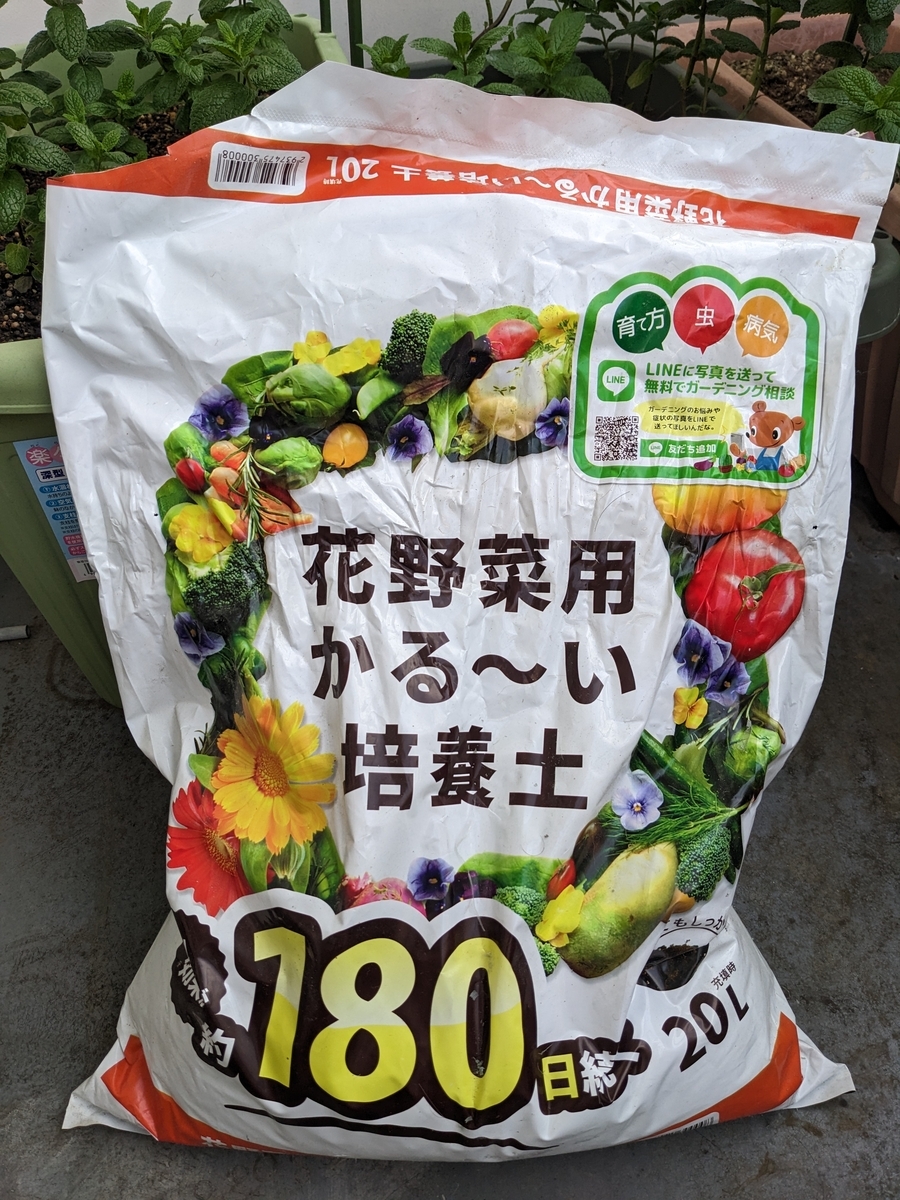 スペアミントの土