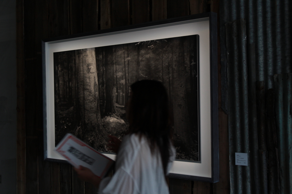 f:id:sibafu:20160903112723j:plain