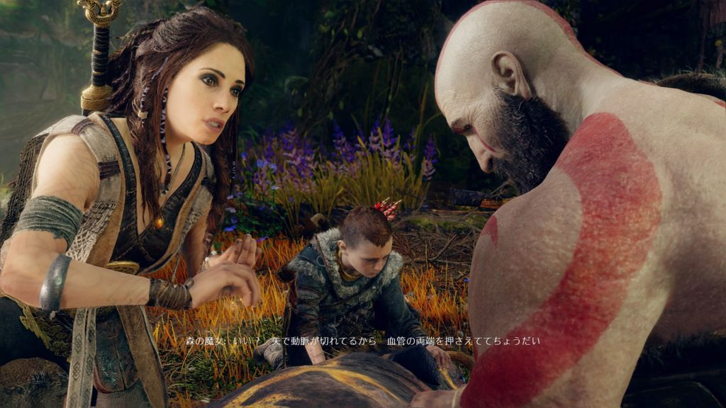 f:id:sibafu:20180420144746j:plain