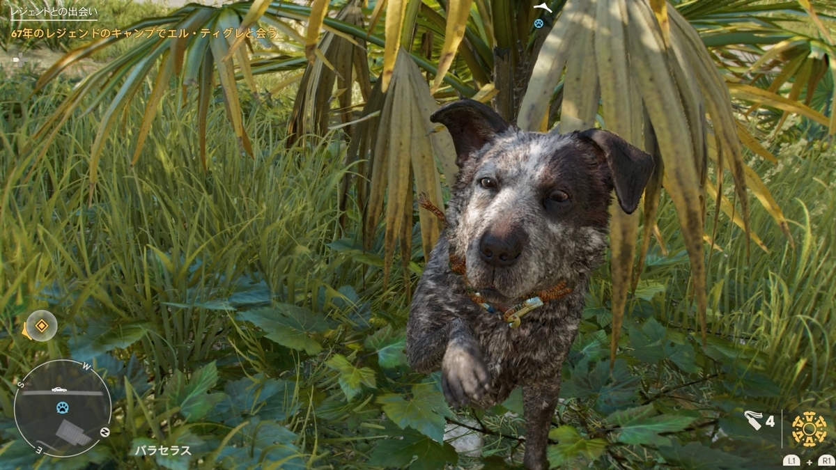 f:id:sibafu:20211016004501j:plain