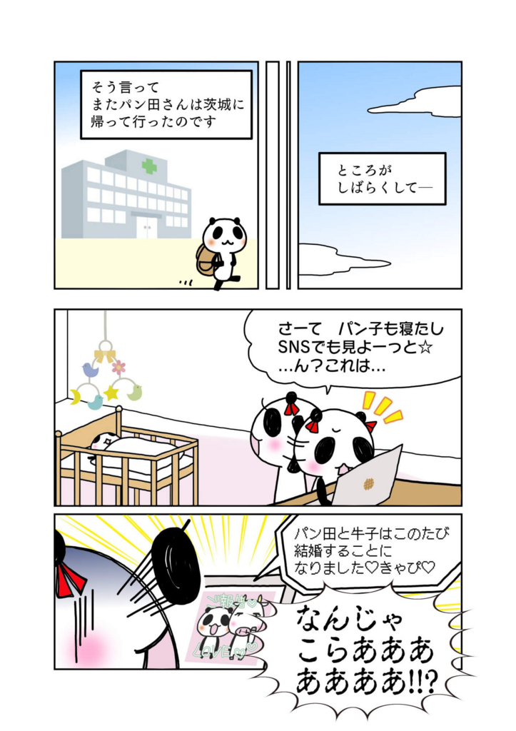 『夫婦生活をする意思の無い婚姻届』解説マンガ3ページ目