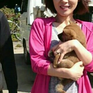 f:id:sibawan_rin:20181005104031j:image f:id:sibawan_rin:20181005104031j:image