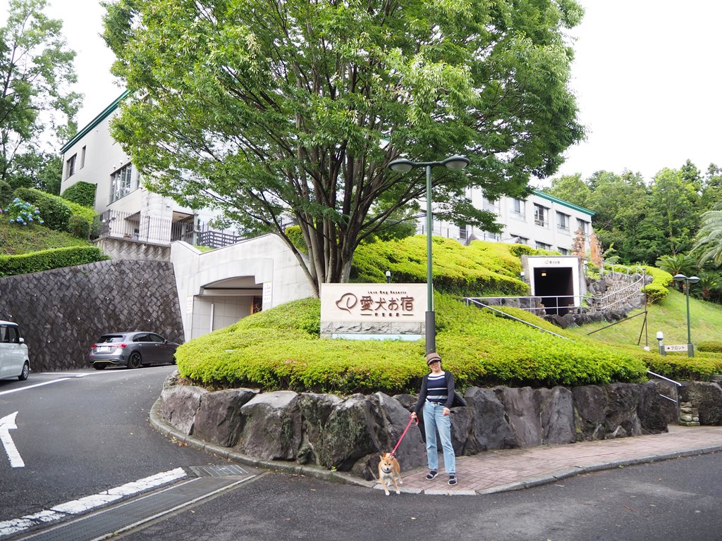 f:id:sibawanmikan:20190706133019j:plain f:id:sibawanmikan:20190706133019j:plain