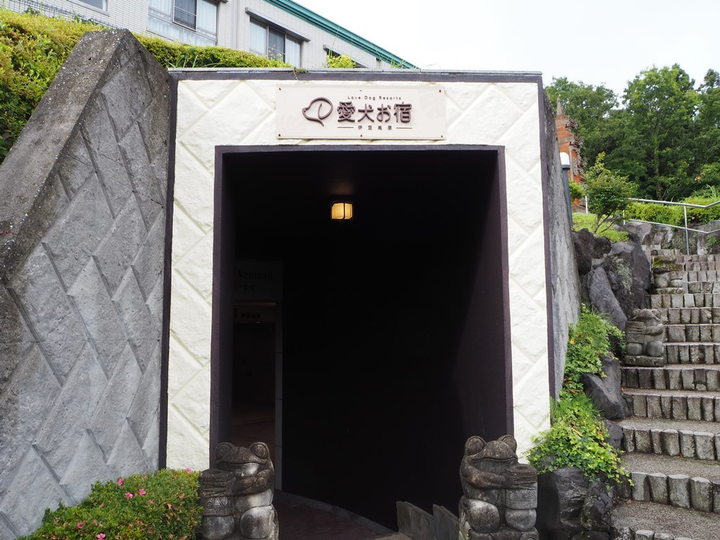 f:id:sibawanmikan:20190706133157j:plain f:id:sibawanmikan:20190706133157j:plain