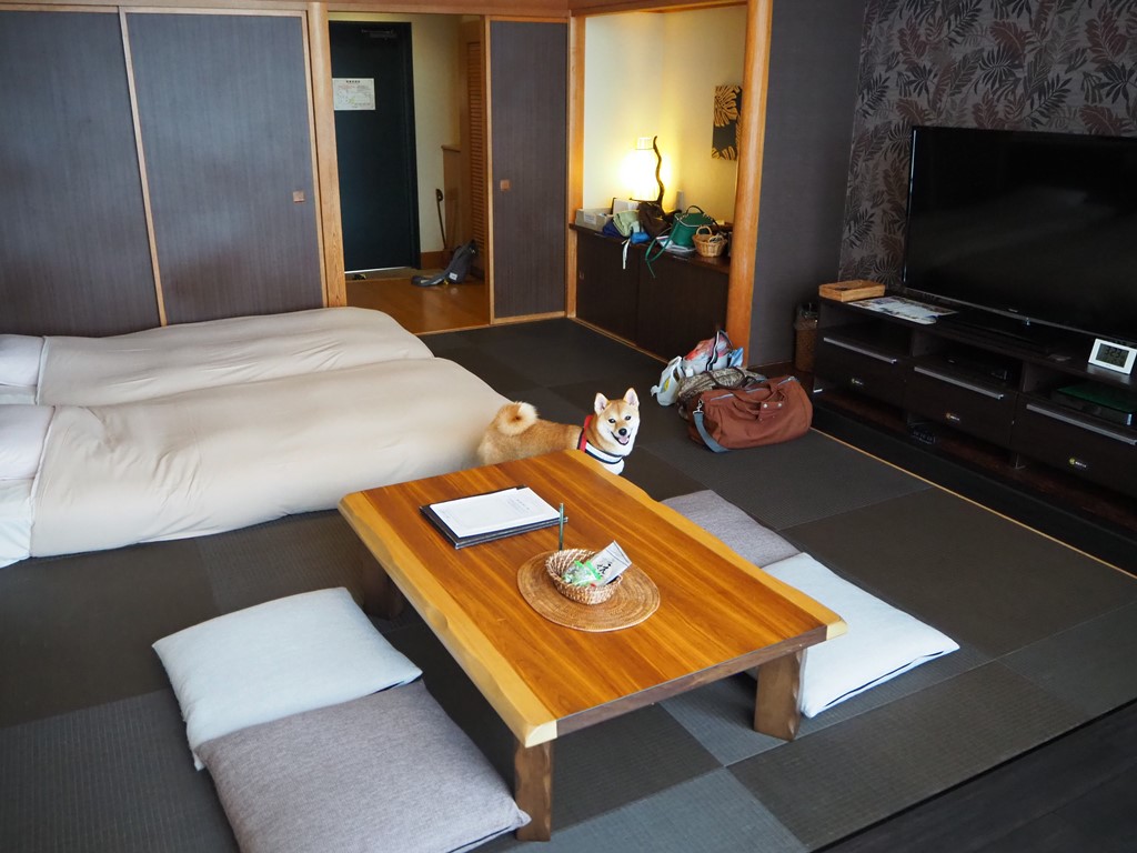 f:id:sibawanmikan:20190706133351j:plain f:id:sibawanmikan:20190706133351j:plain