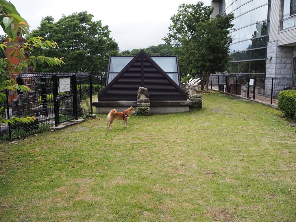 f:id:sibawanmikan:20190706133526j:plain f:id:sibawanmikan:20190706133526j:plain