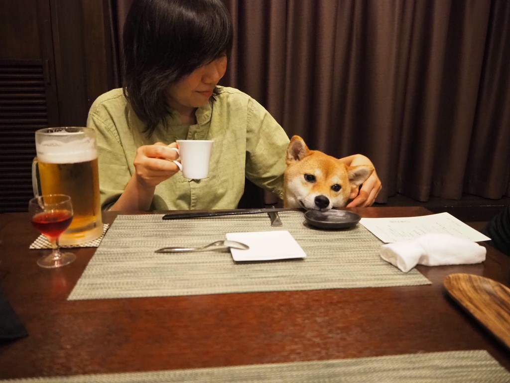f:id:sibawanmikan:20190706135430j:plain f:id:sibawanmikan:20190706135430j:plain