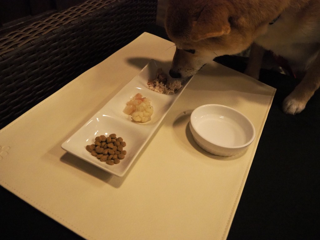 f:id:sibawanmikan:20190706135531j:plain f:id:sibawanmikan:20190706135531j:plain