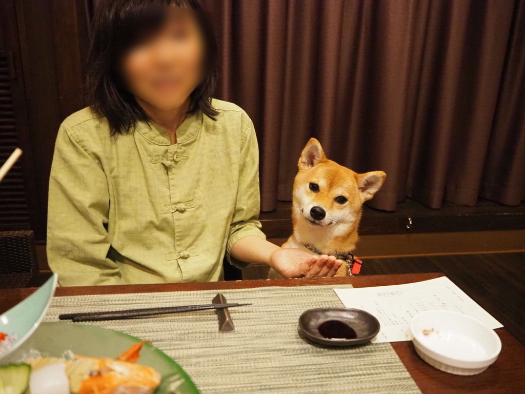 f:id:sibawanmikan:20190706140050j:plain f:id:sibawanmikan:20190706140050j:plain