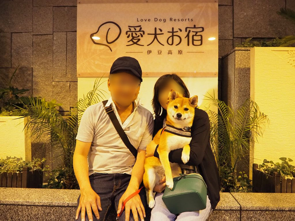 f:id:sibawanmikan:20190706140602j:plain f:id:sibawanmikan:20190706140602j:plain
