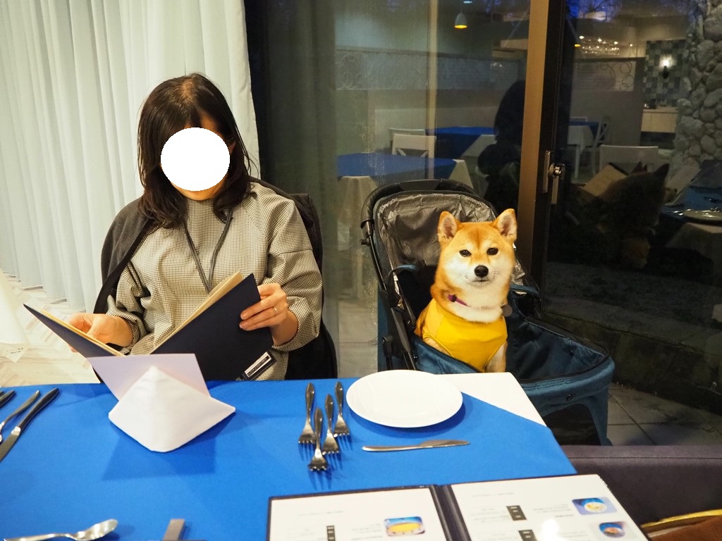 f:id:sibawanmikan:20200329191301j:plain f:id:sibawanmikan:20200329191301j:plain