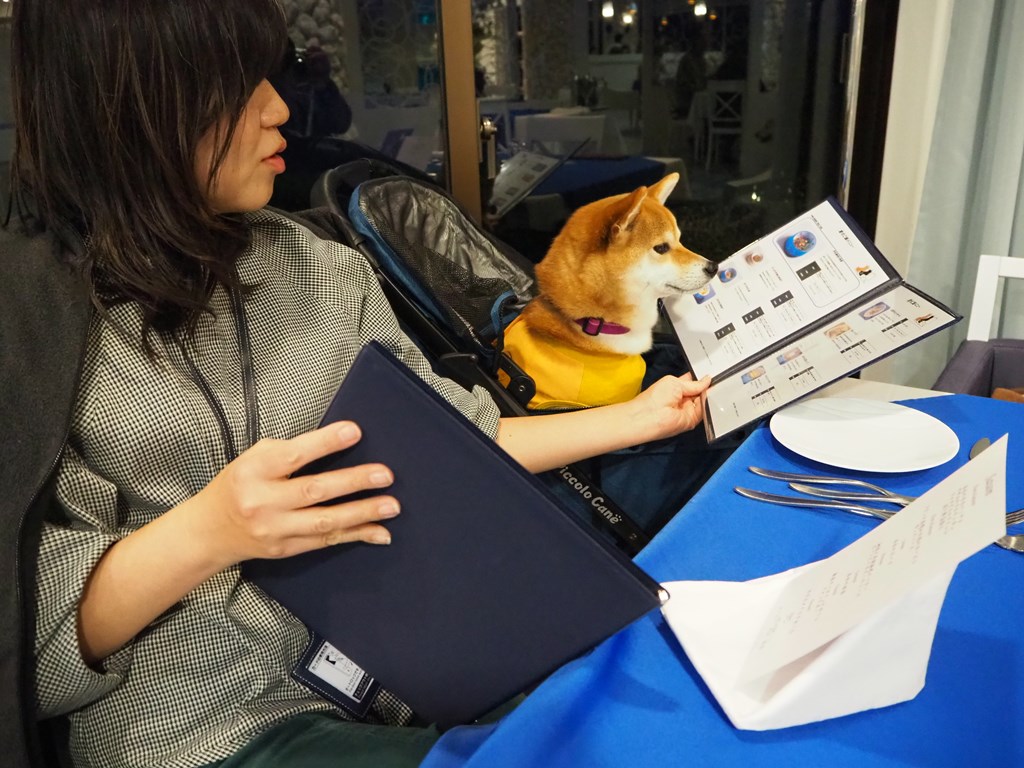 f:id:sibawanmikan:20200329191337j:plain f:id:sibawanmikan:20200329191337j:plain