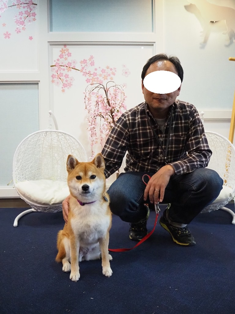 f:id:sibawanmikan:20200329192852j:plain f:id:sibawanmikan:20200329192852j:plain