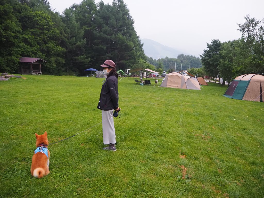 f:id:sibawanmikan:20200906154134j:plain f:id:sibawanmikan:20200906154134j:plain