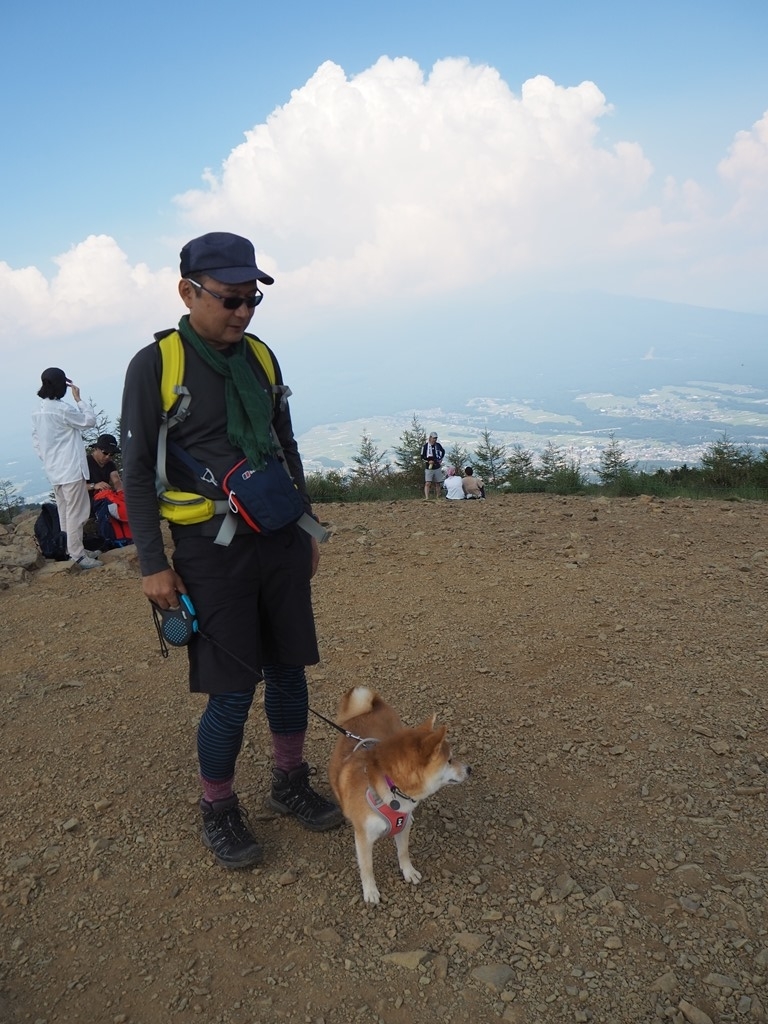 f:id:sibawanmikan:20201102015627j:plain f:id:sibawanmikan:20201102015627j:plain