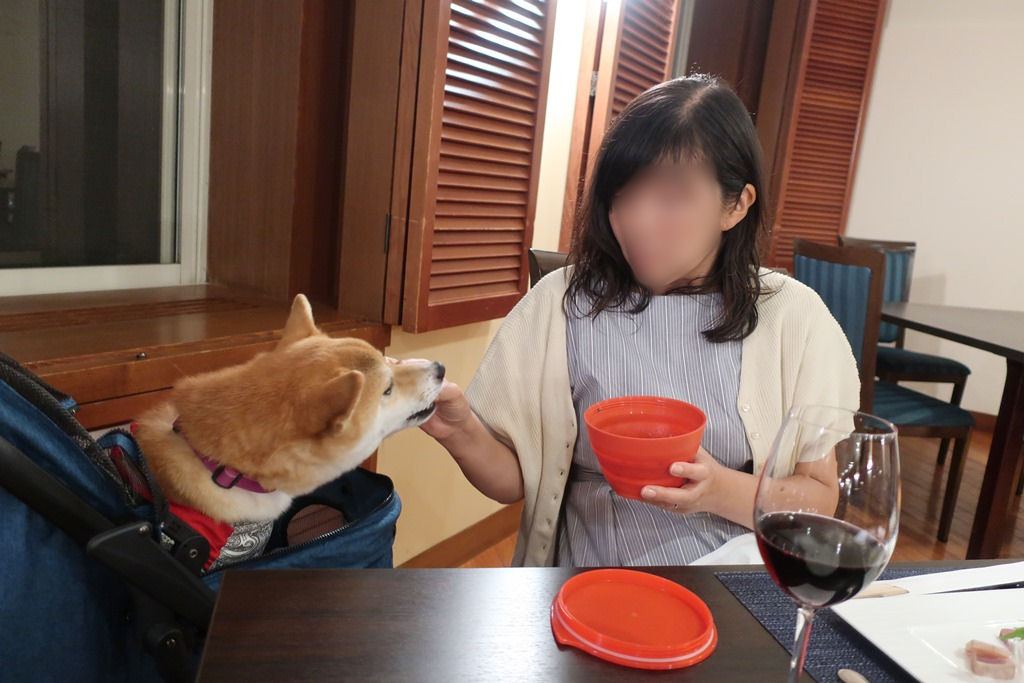 f:id:sibawanmikan:20201213000157j:plain