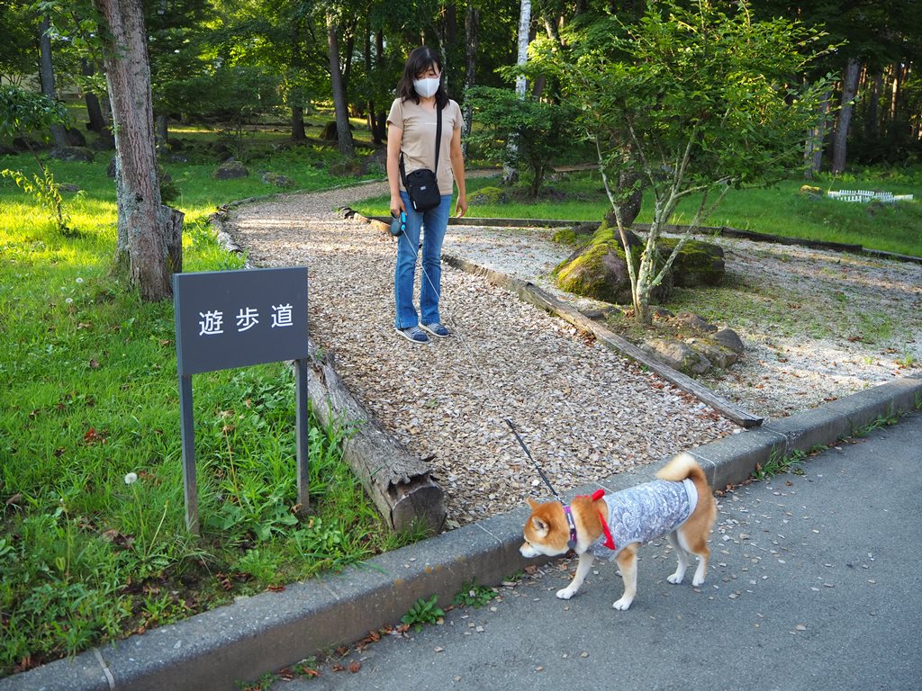 f:id:sibawanmikan:20201213000925j:plain