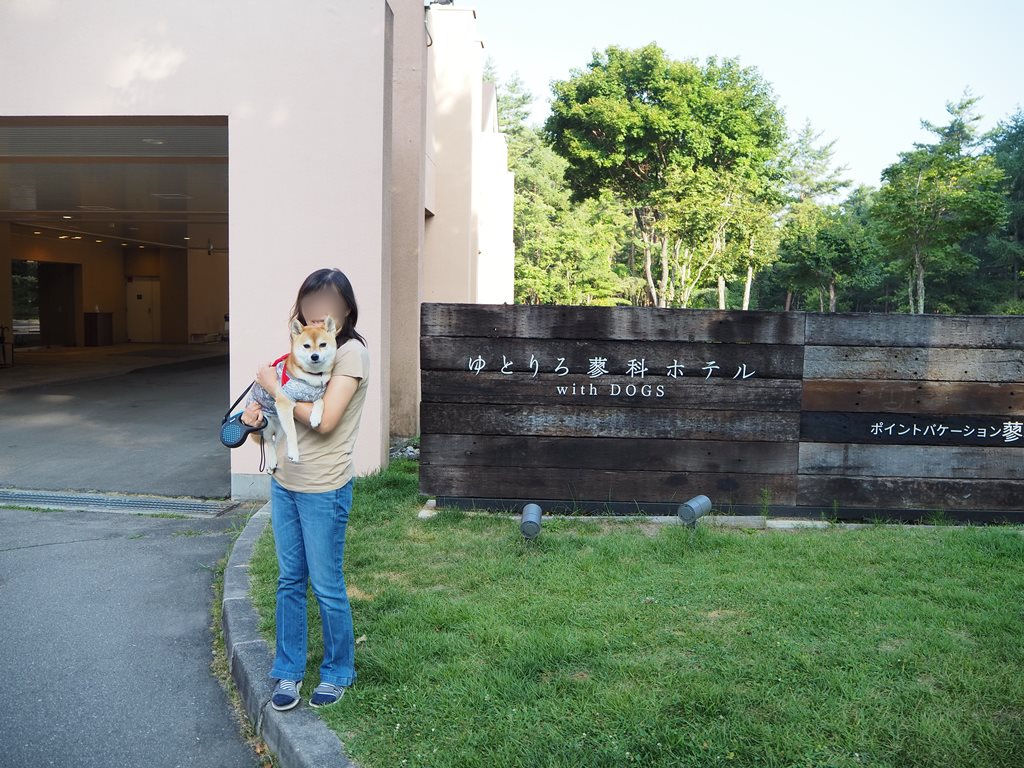 f:id:sibawanmikan:20201213001317j:plain