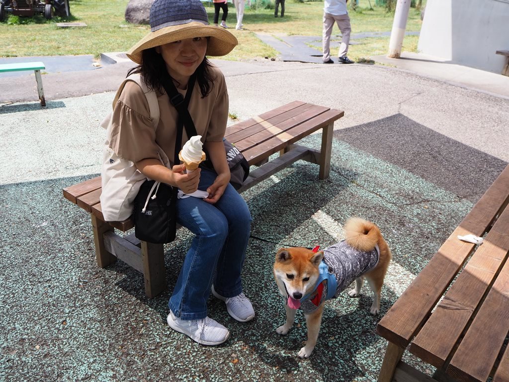 f:id:sibawanmikan:20201230183831j:plain