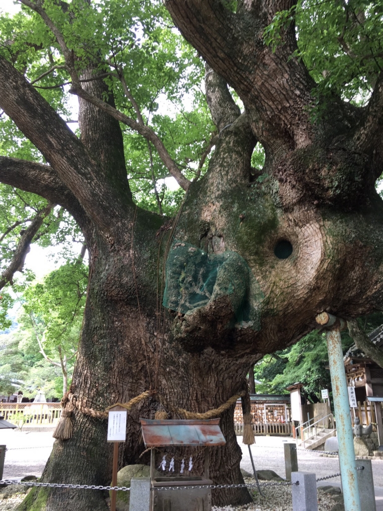 f:id:sibumaru:20160724183950j:plain f:id:sibumaru:20160724183950j:plain