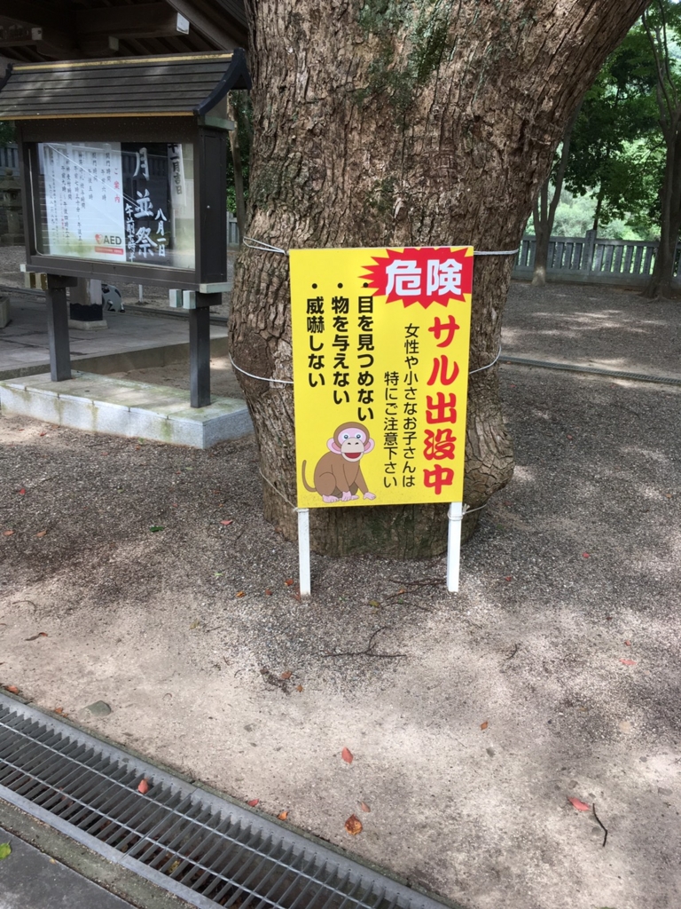 f:id:sibumaru:20160724185330j:plain f:id:sibumaru:20160724185330j:plain