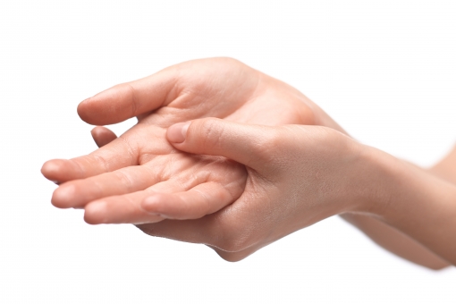 f:id:sibusawanekogusu341:20190203000820j:plain