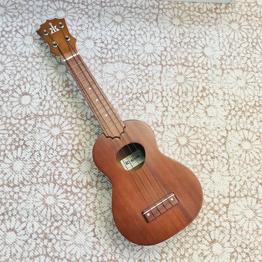 f:id:sichigoichie:20210226201427j:image