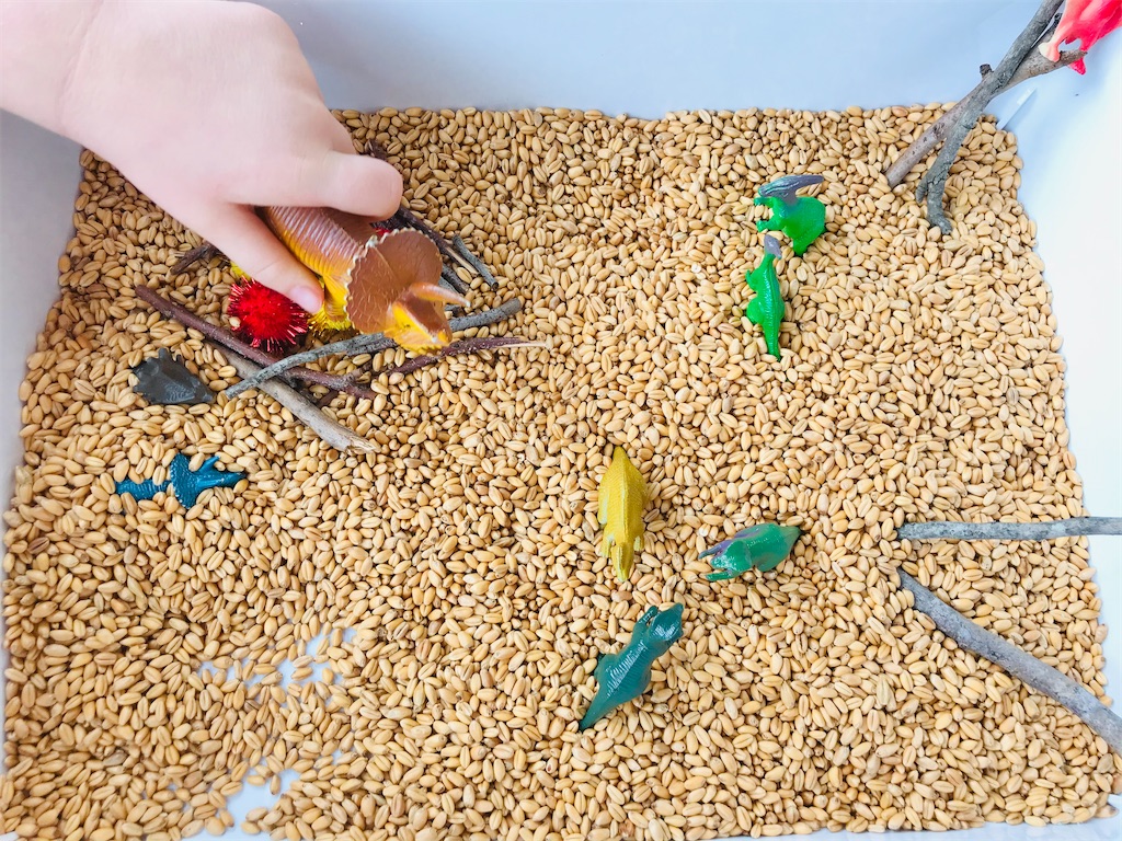 f:id:sichigoichie:20210309203435j:image f:id:sichigoichie:20210309203435j:image