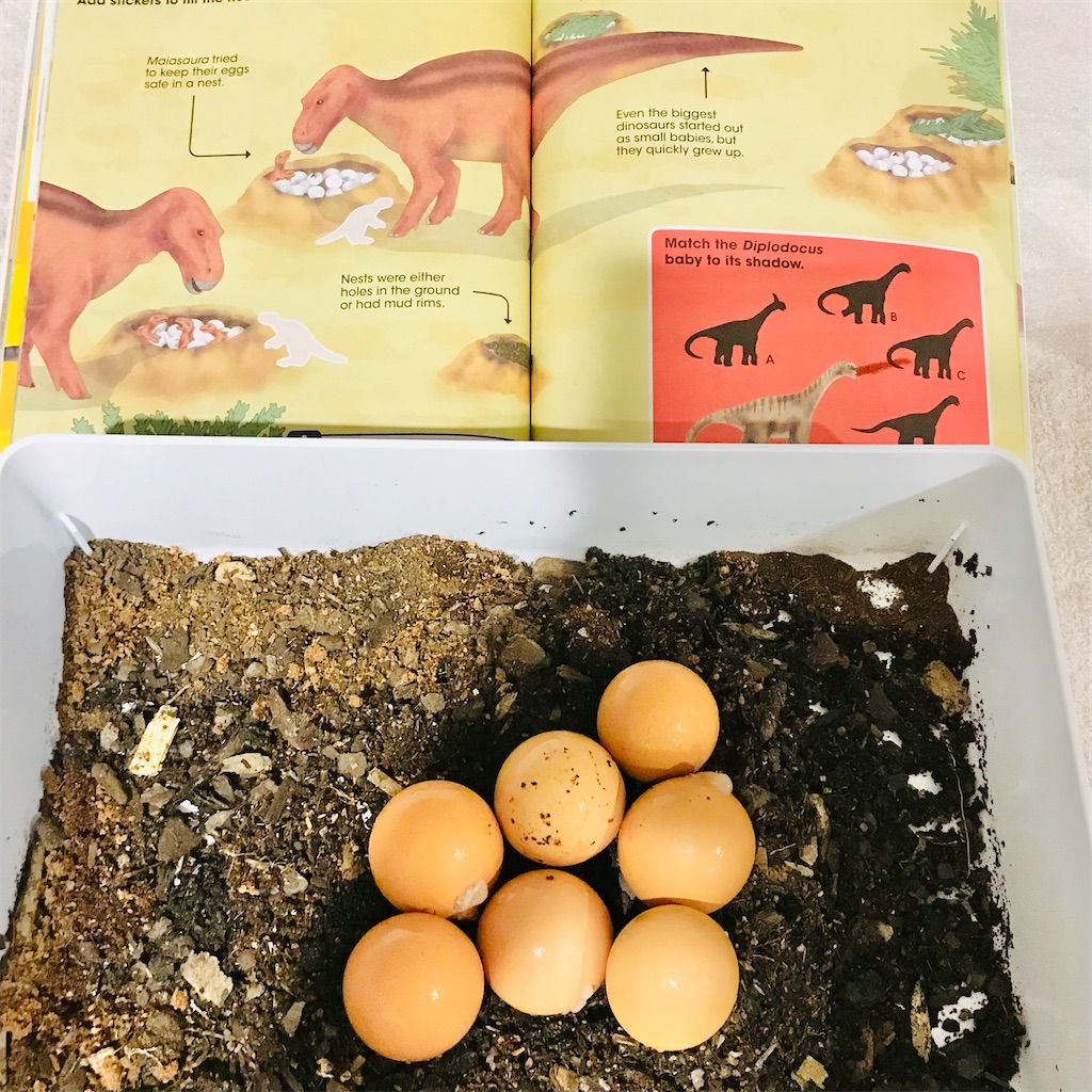 f:id:sichigoichie:20210321124636j:image f:id:sichigoichie:20210321124636j:image