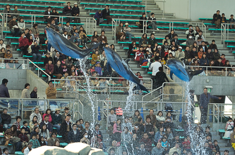 f:id:sickboy5555:20051120124847j:image:w640 f:id:sickboy5555:20051120124847j:image:w640