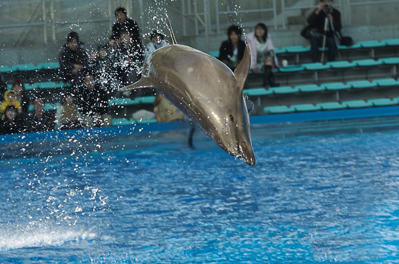 f:id:sickboy5555:20110912120959j:image:w640 f:id:sickboy5555:20110912120959j:image:w640