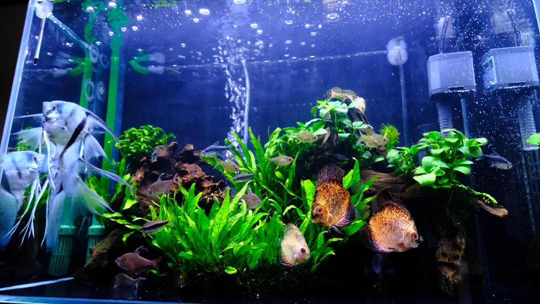 水槽にバックスクリーンを貼って底板も変えてみる サイドイレブン