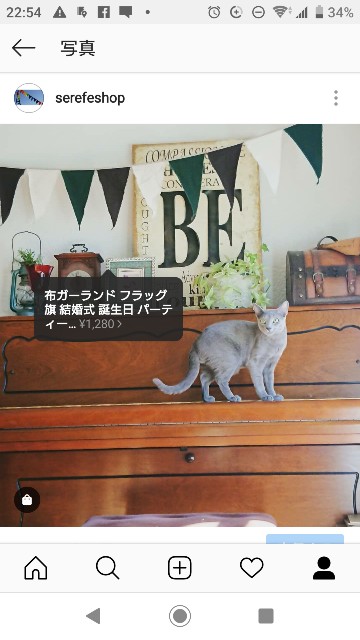 f:id:side-line:20190221225627j:image f:id:side-line:20190221225627j:image