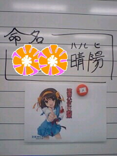 f:id:sideblock:20071105141006j:image