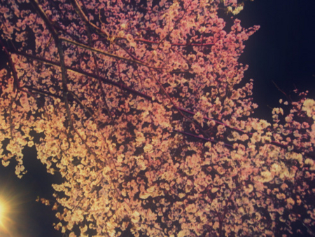 f:id:sideblock:20100407001109j:image