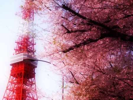 f:id:sideblock:20100407001112j:image