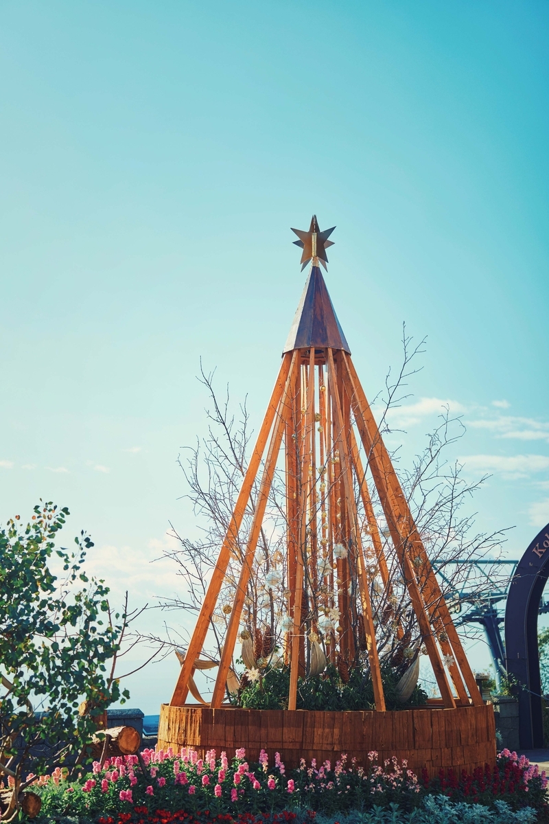 森のクリスマスツリー（高さ25m）の足元。イルミネーションに包まれる幻想的な空間（PR TIMES掲載画像）