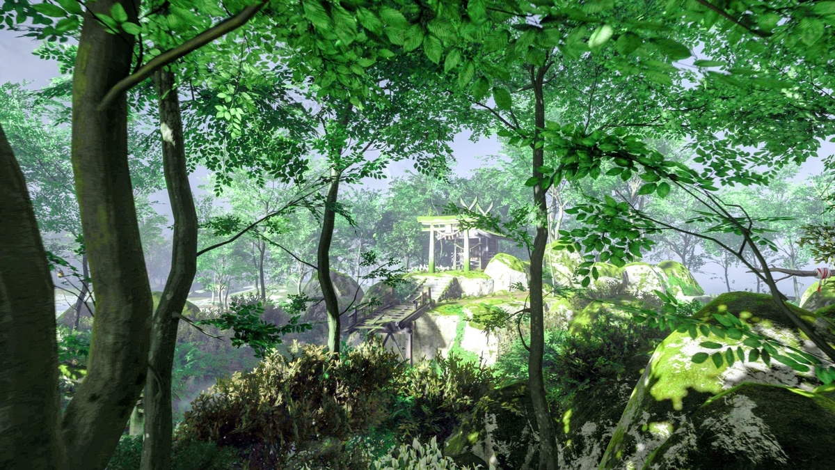 霧と緑に包まれた社