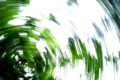 20080617152123
