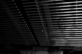 20081031092050