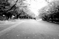 20081031092728