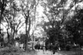 20081031093147