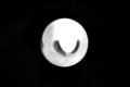 20081031104444