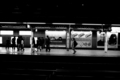20081031221428