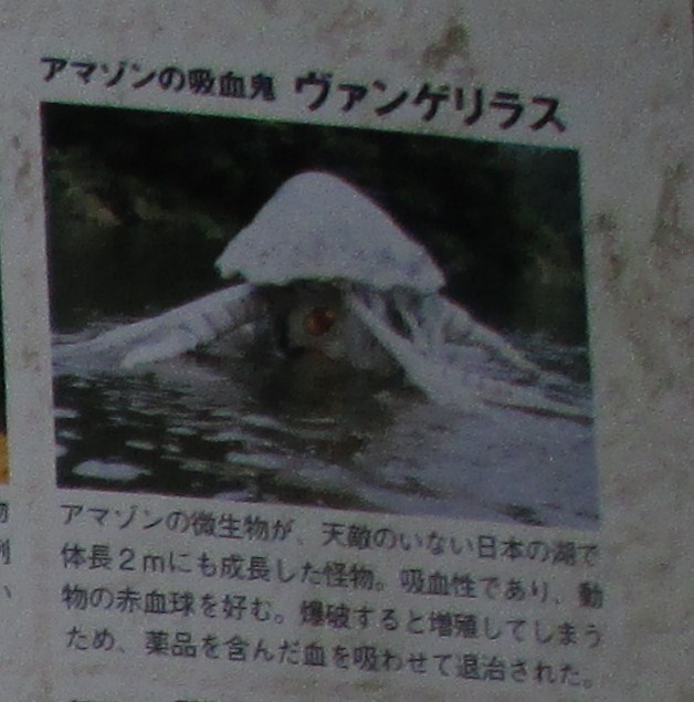 イメージ 4