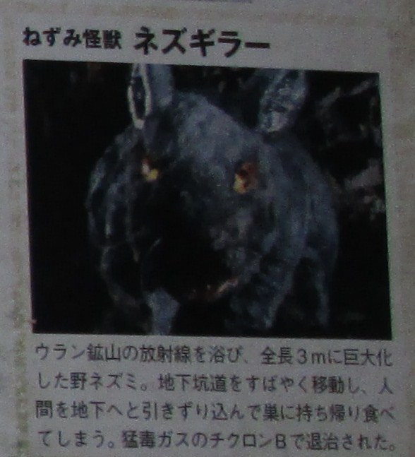 イメージ 6
