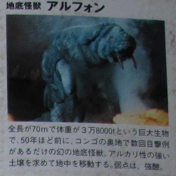 イメージ 7