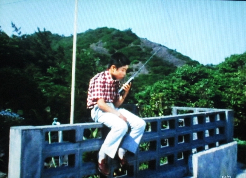 イメージ 14